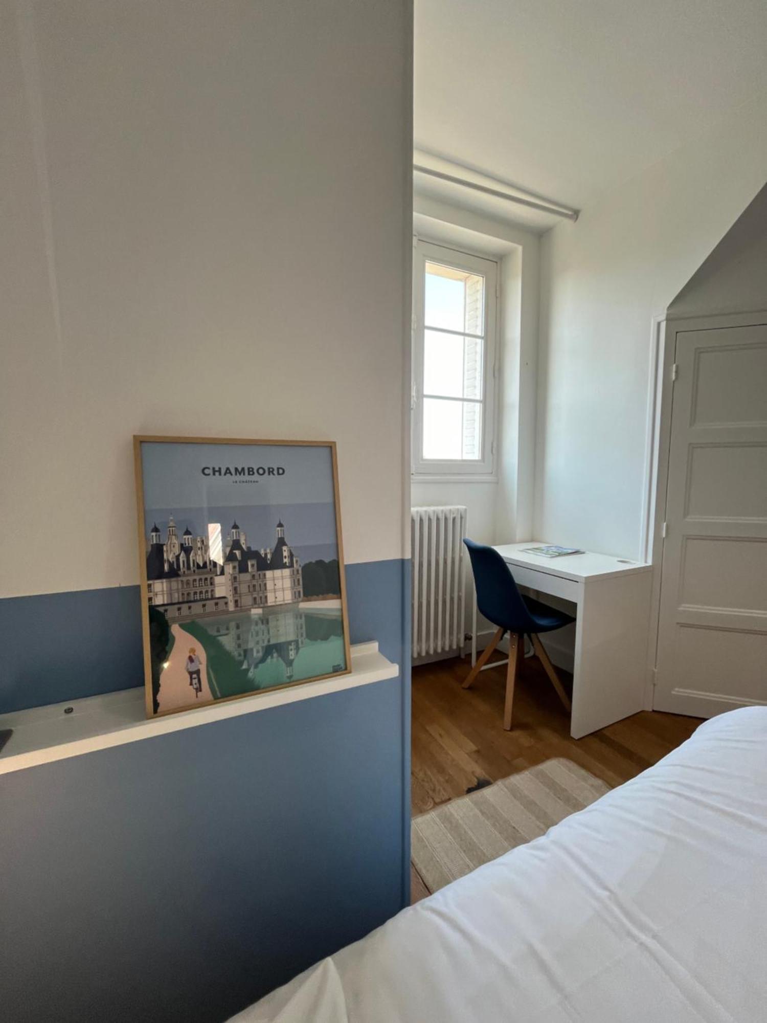 Le Wilson - Vue Imprenable Sur La Loire Et Le Chateau De Blois Exterior photo